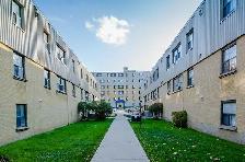 Junior One Bedroom - Amazing deal, great space! - Photo 6