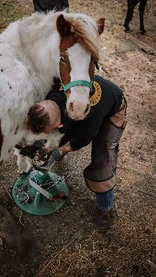 Barefoot Trimmer Farrier