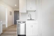 NEWLY Renovated Studio apartment in the Heart of West Broadway! - Photo 4