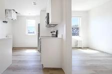 NEWLY Renovated Studio apartment in the Heart of West Broadway! - Photo 6