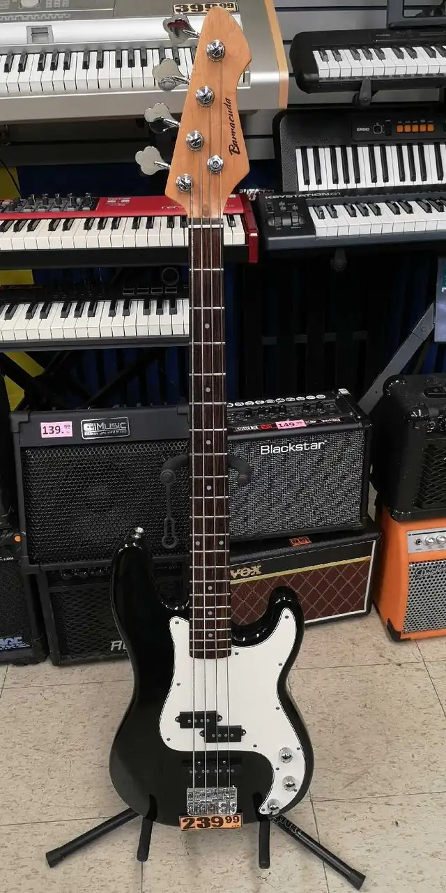 Bass Électrique Barracuda