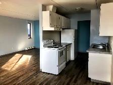 Spacious and Sunny! 2 bedroom apartment in Westfort, $1850   H - Photo 2