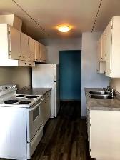 Spacious and Sunny! 2 bedroom apartment in Westfort, $1850   H - Photo 3