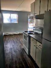 Spacious and Sunny! 2 bedroom apartment in Westfort, $1850   H - Photo 4