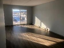 Spacious and Sunny! 2 bedroom apartment in Westfort, $1850   H - Photo 11