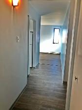 Spacious and Sunny! 2 bedroom apartment in Westfort, $1850   H - Photo 12