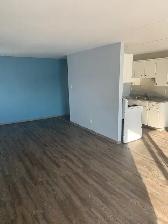 Spacious and Sunny! 2 bedroom apartment in Westfort, $1850   H - Photo 14