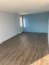 Spacious and Sunny! 2 bedroom apartment in Westfort, $1850   H - Photo 15