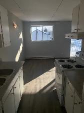 Spacious and Sunny! 2 bedroom apartment in Westfort, $1850   H - Photo 16