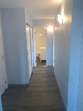 Spacious and Sunny! 2 bedroom apartment in Westfort, $1850   H - Photo 18