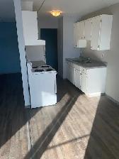 Spacious and Sunny! 2 bedroom apartment in Westfort, $1850   H - Photo 22