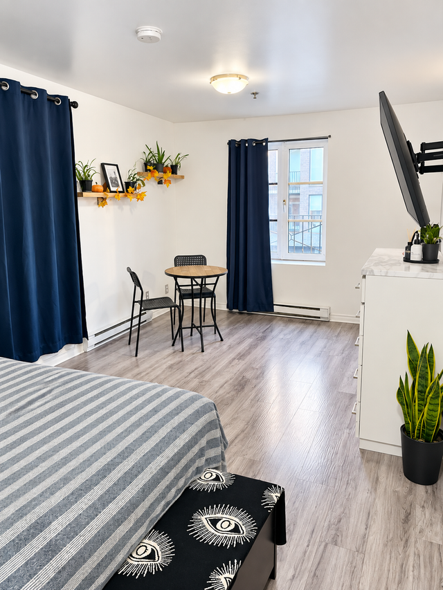 50% 1er Mois - 2 1/2 Rénové Metro Papineau Montréal Appartement