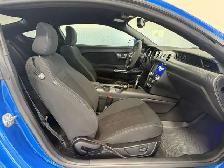 2020 Ford Mustang GT Premium / Perforamace Pkg. 2 / Low K - Photo 6