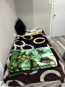 Private room with personal washroom Nov 1 in Brampton - Photo 8