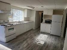 Spacious 2 bedroom basement in Fleetwood - Photo 4