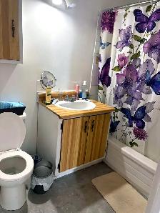 Appartement 1 chambre à louer – Saint-Maurice – 785$/mois