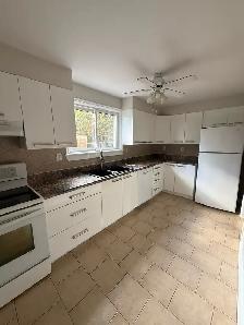 Detached House for Rent Scarborough - Photo 5