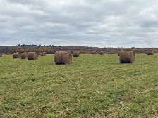 Hay for sale - Photo 2