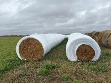 haylage bales