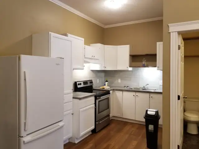 Available Nov 1 - One bedroom apartment in Minto NB