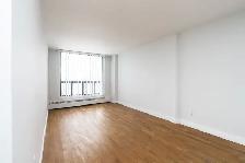 Renovated Bachelor, Queen and Bathurst - ID 4380 - Photo 4
