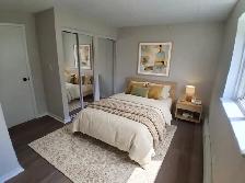 2 Bedroom Apartment - Photo 6
