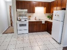 One Bedroom Suite on Seminole Street - Photo 2