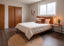 One Bedroom Suite on Seminole Street - Photo 3
