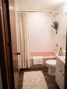 One Bedroom Suite on Seminole Street - Photo 4