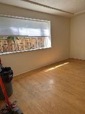 Bright Renovated 1 Bedroom in Kitsilano - Photo 4