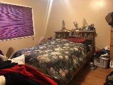 Abbeydale main floor 3 bedroom, $1380/m  60% UT - Photo 8