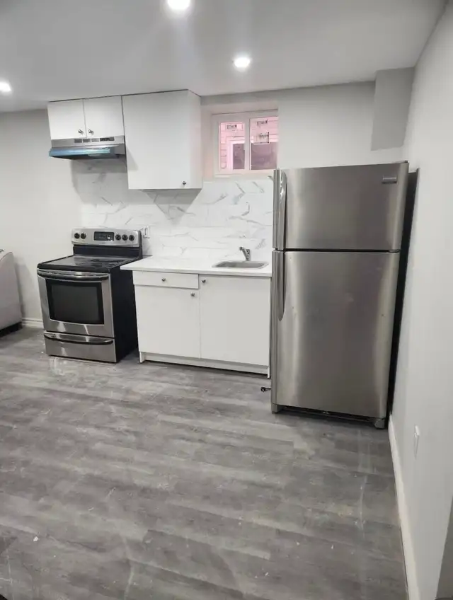 Renovated Basement Apartment