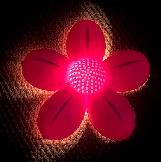 Night Light - Photo 6