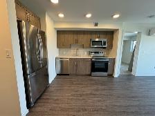1Bed 1Bath Apartment Condo in Peguis/Transcona Area For Rent - Photo 4