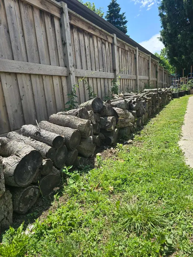 ! Firewood !  50 ft- Make  offer!