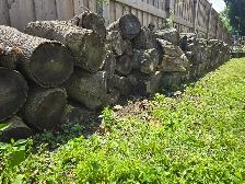 ! Firewood !  50 ft- Make  offer! - Photo 2