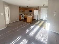 Available immediately, 2 bedroom/2 bathroom in Terwillegar