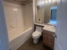Available immediately, 2 bedroom/2 bathroom in Terwillegar - Photo 5