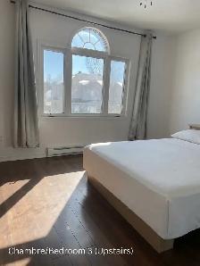 Maison 3 chambres, 1,5 SDB, cour, parking, libre dès maintenant - Photo 4