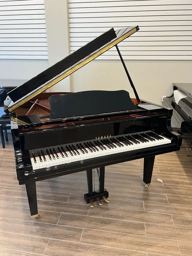 Almost Brand New Yamaha Baby Grand Piano GC1