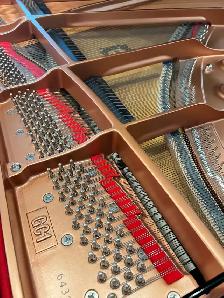 Almost Brand New Yamaha Baby Grand Piano GC1 - Photo 6
