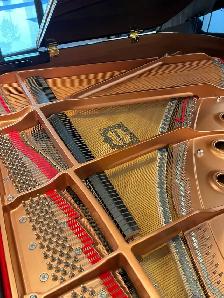 Almost Brand New Yamaha Baby Grand Piano GC1 - Photo 7