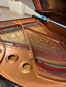 Almost Brand New Yamaha Baby Grand Piano GC1 - Photo 8