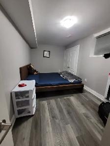 1 Bedroom Legal Basement for Rent / Near Dixie & Countryside - Photo 5