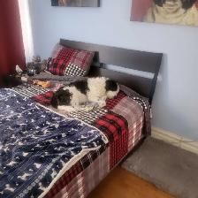 DÉMÉNAGEMENT   (A VENDRE) - Photo 4