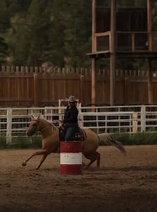 AQHA gelding - Pringles - Photo 3