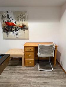 polytechnic students furnished basement suite $1,000 per month - Photo 7