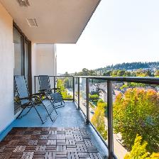 Bright and well-designed 1 bed, 1 bath Condo at Coquitlam - Photo 3