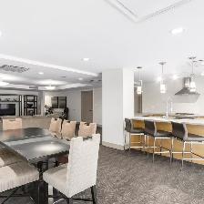Bright and well-designed 1 bed, 1 bath Condo at Coquitlam - Photo 7