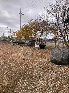 Storage Lot For Lease Vegreville Alberta - Photo 8